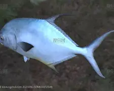 瑆t业X皥鲹b?ハ娲順鵤<試?